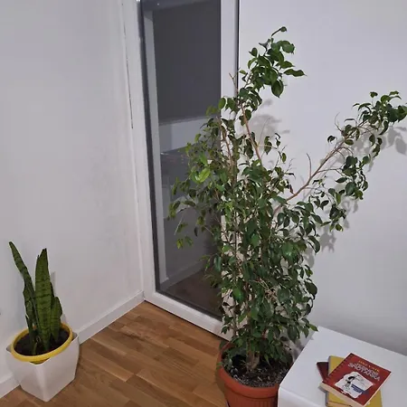 Appartement Tdi *